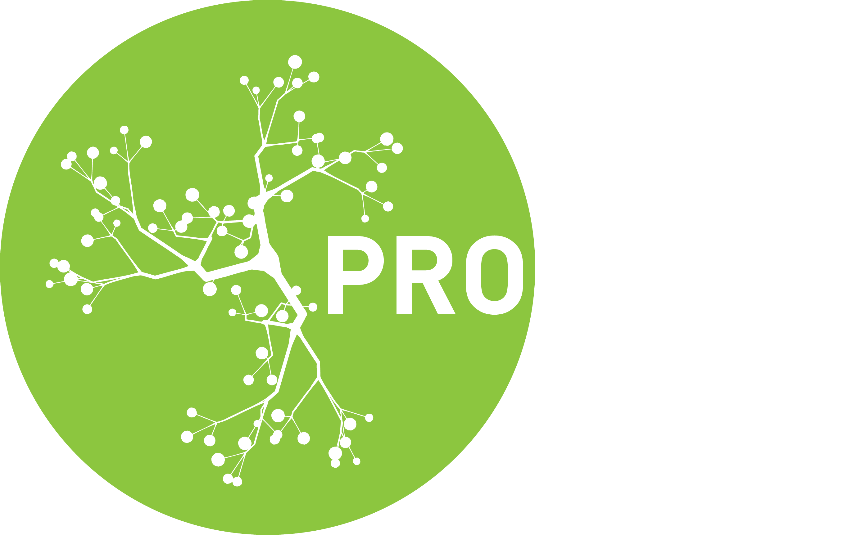 Proyecta